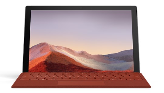 洛川清洁和维护 Surface